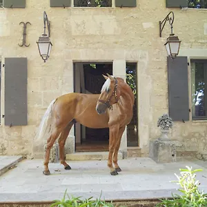 Bed & Breakfast Domaine Cap Rubis